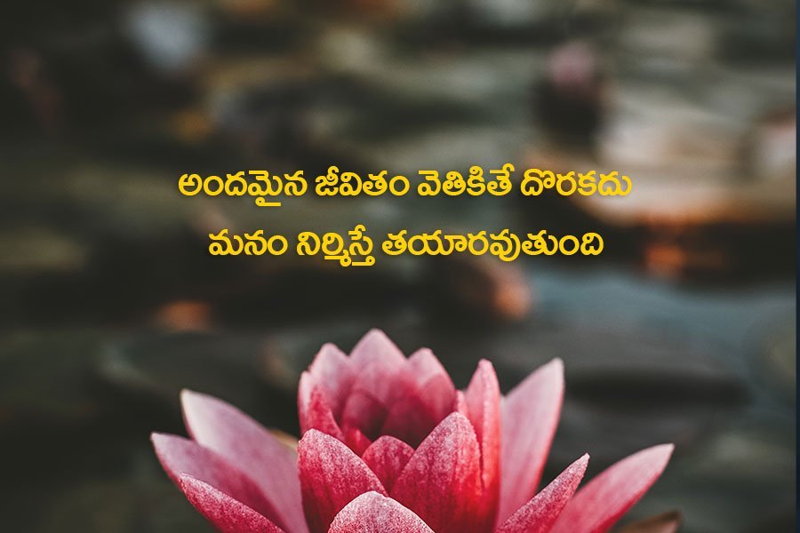 best life quotes in Telugu with images