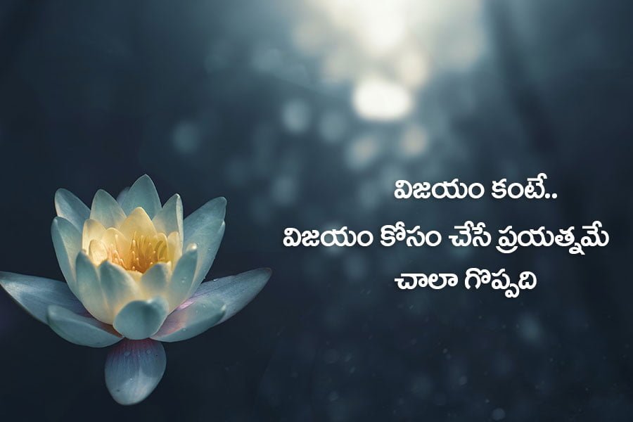 life Quotes In Telugu Text image Download for free